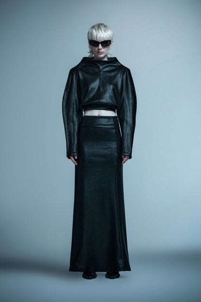 Wide stand collar and pointed sleeves top